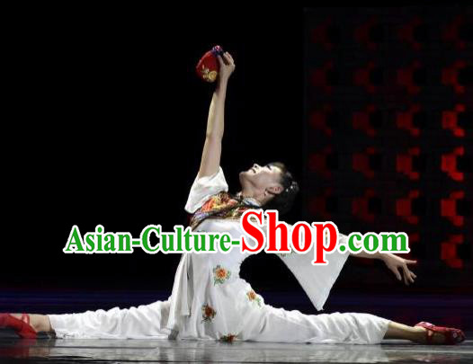 Chinese Dance Drama Wild Jujubes Classical Dance White Dress Stage Performance Dance Costume and Headpiece for Women