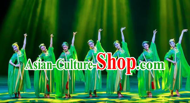 Dance Between Heaven and Earth Chinese Classical Dance Green Dress Stage Performance Dance Costume and Headpiece for Women
