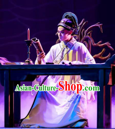 Chinese Peking Opera Lanruo Temple Scholar Ning Caichen Clothing Stage Performance Dance Costume and Hat for Men