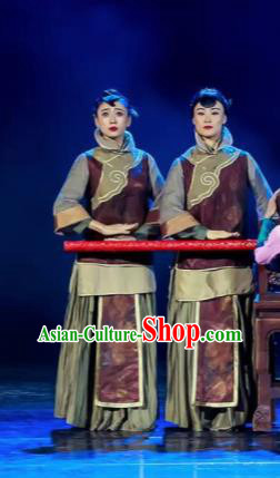 Trilogy of the Rapids Chinese Peking Opera Dress Stage Performance Dance Costume and Headpiece for Women