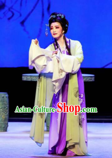 Phoenix Hairpin Chinese Peking Opera Diva Purple Dress Stage Performance Dance Costume and Headpiece for Women