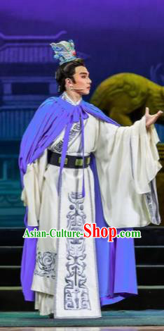 Chinese Bronze Swallow Terrace Prince Clothing Stage Performance Dance Costume for Men