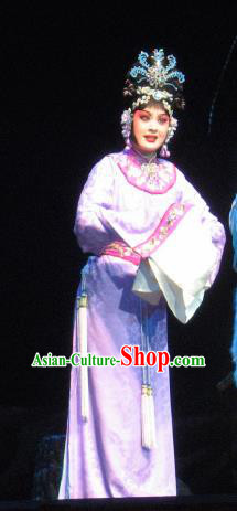 Su Wu In Desert Chinese Peking Opera Diva Pink Dress Stage Performance Dance Costume and Headpiece for Women
