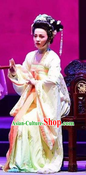 Amber Fate Chinese Beijing Opera Imperial Consort Dress Stage Performance Dance Costume and Headpiece for Women