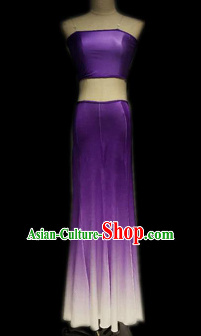Traditional Chinese Classical Dance Costume China Peacock Dance Purple Dress for Women