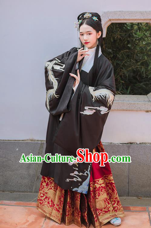 Chinese Ancient Ming Dynasty Embroidered Historical Costume Traditional Hanfu Dress for Women