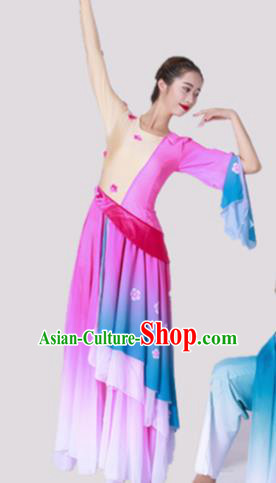 Chinese Traditional Classical Dance Costume Umbrella Dance Rosy Dress for Women