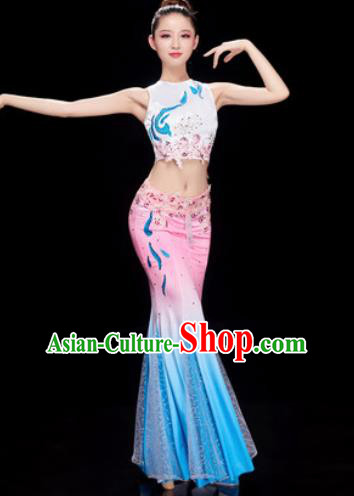 Traditional Chinese Dai Nationality Folk Dance Dress National Ethnic Peacock Dance Costume for Women