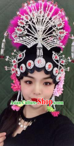 Chinese Traditional Beijing Opera Princess Wigs and Phoenix Hairpins Peking Opera Diva Hair Accessories for Women