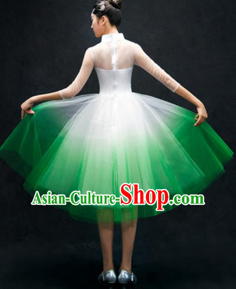 Chinese Classical Dance Costume Traditional Modern Dance Green Veil Dress for Women