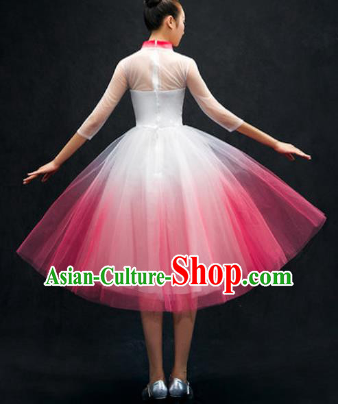 Chinese Classical Dance Costume Traditional Modern Dance Pink Veil Dress for Women