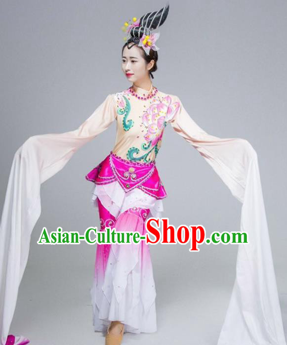 Chinese Classical Dance Stage Performance Costume Traditional Water Sleeve Dance Dress for Women