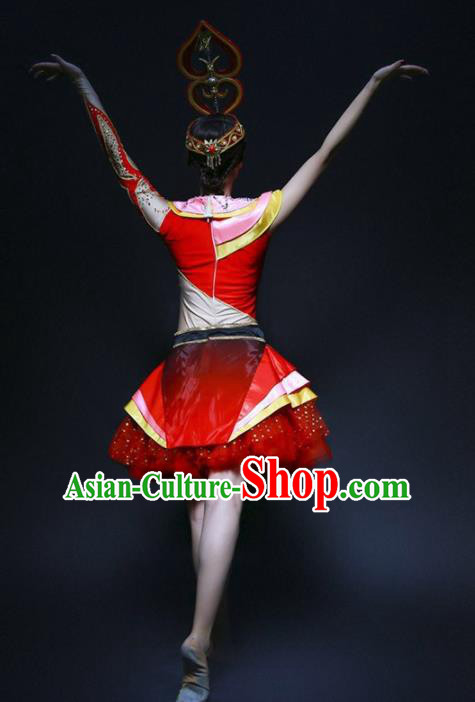 Chinese Folk Dance Yangko Stage Performance Costume Traditional Drum Dance Clothing for Women