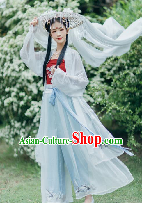 Chinese Traditional Young Lady Embroidered Hanfu Dress Song Dynasty Historical Costume for Women