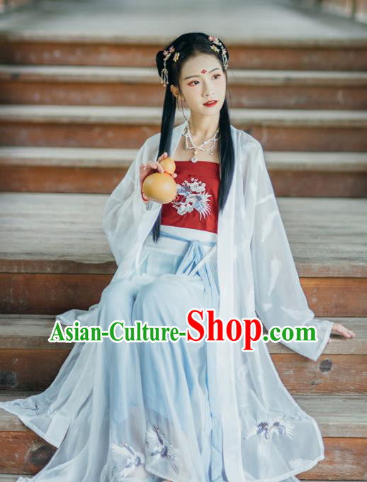 Chinese Traditional Young Lady Embroidered Hanfu Dress Song Dynasty Historical Costume for Women