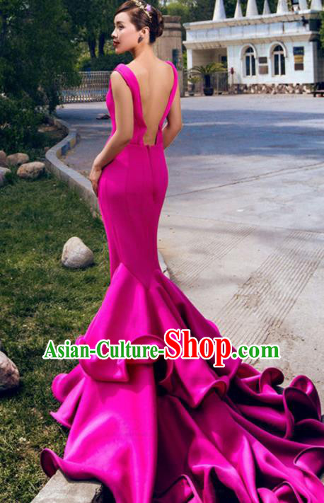 Top Grade Compere Costume Modern Dance Party Catwalks Rosy Full Dress for Women