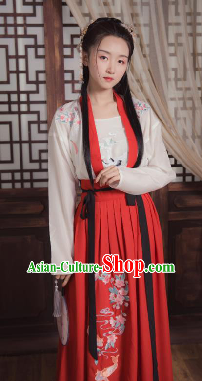 Ancient Chinese Song Dynasty Young Lady Replica Costume Traditional Swordswoman Embroidered Hanfu Dress for Women
