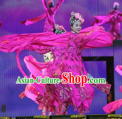 Dance of the Butterfly Traditional Chinese Classical Dance Costume Rosy Water Sleeve Dance Dress for Women