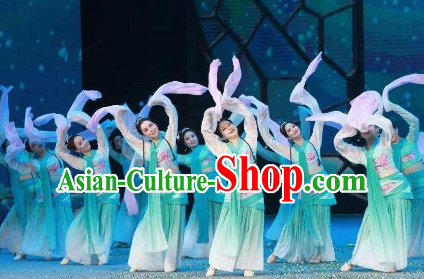 Traditional Chinese Classical Dance Cai Wei Costume Group Dance Water Sleeve Green Dress for Women