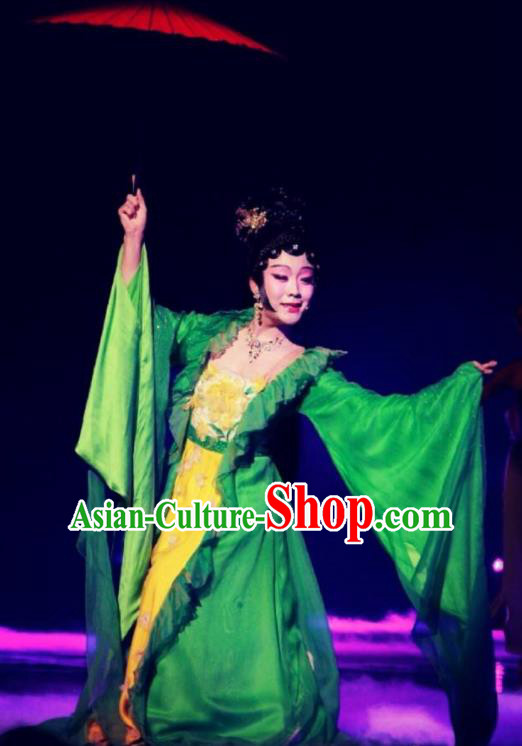 Traditional Chinese Classical Dance Jing Hua Shui Yue Costume Beijing Opera Beautiful Dance Green Dress for Women