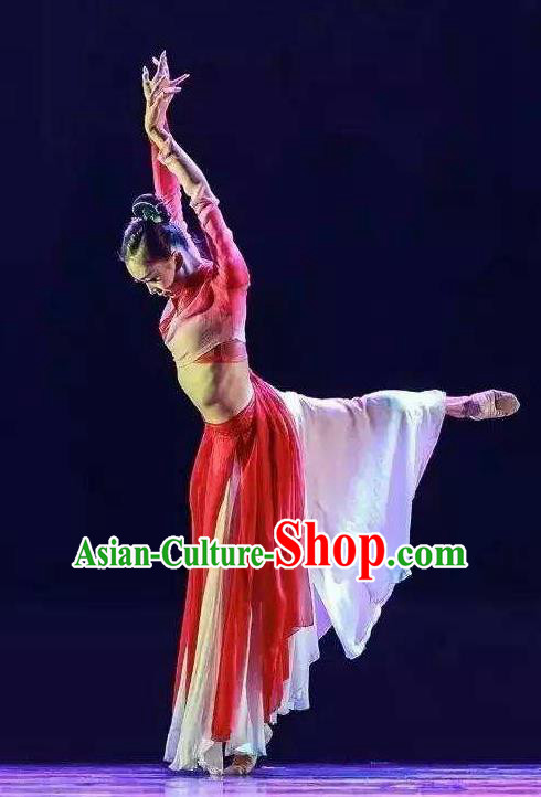 Traditional Chinese Classical Dance Kong Que Dong Nan Fei Costume Drama Stage Show Beautiful Dance Red Dress for Women