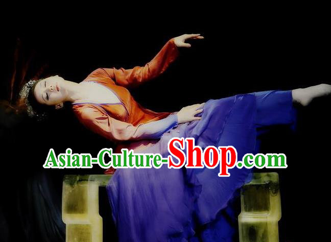 Traditional Chinese Classical Dance Competition Sheng Sheng Man Costume Stage Show Beautiful Dance Dress for Women