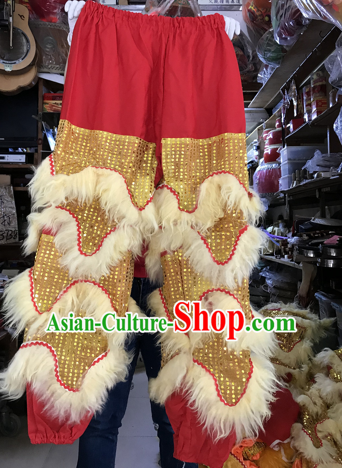 lion dance costume