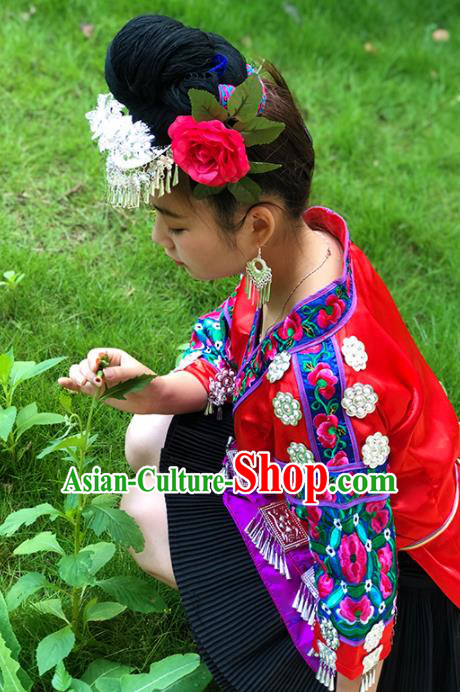 Chinese Traditional Miao Nationality Costume Ethnic Folk Dance Dress for Women