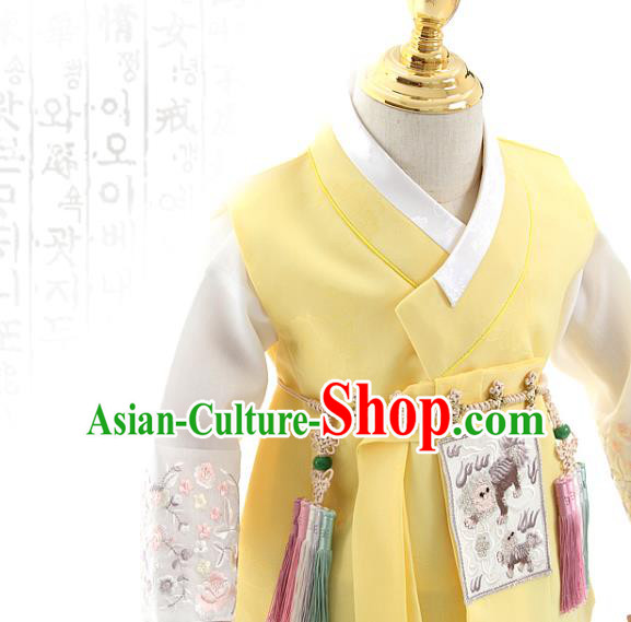 Asian Korea Traditional Embroidered Yellow Shirt and Pants Children Birthday Fashion Korean Apparels Boys Hanbok Costumes for Kids
