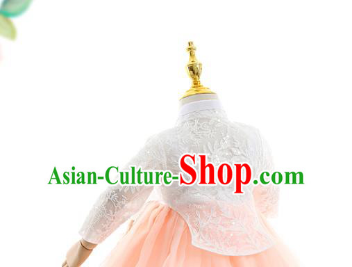 Asian Korea Girls Traditional Embroidered White Blouse and Pink Dress Korean Children Birthday Fashion Apparels Hanbok Costumes