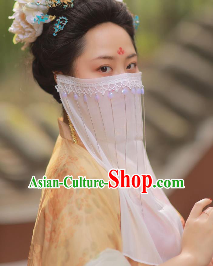 Chinese Classical Ancient Palace Lady Face Veil Hanfu Wigs Tang Dynasty Imperial Concubine White Chiffon Veil Mask Accessories