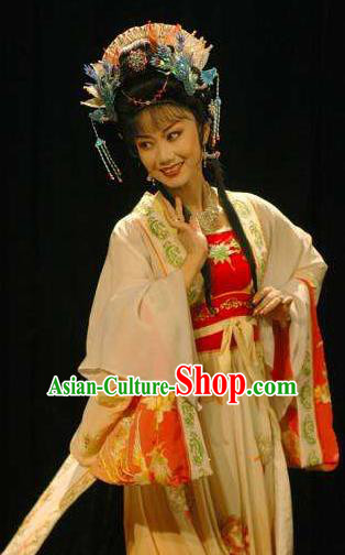 Chinese Peking Opera Dan Costumes Double Pearl Phoenix Rich Lady Hua Dingjin Apparel Garment and Headpieces