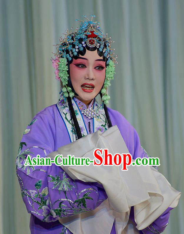 Traditional Chinese Peking Opera Diva Purple Cape Dress Apparel The Dream in Lady Chamber Garment Costumes and Headdress