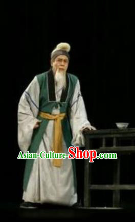 Chinese Shaoxing Opera Old Men Embroidered Garment Li Qingzhao Apparels Laosheng Costumes and Headpieces