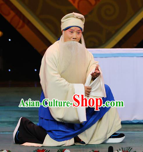 Chinese Beijing Opera Elderly Male Costumes Garment Peking Opera San Niang Jiao Zi Laosheng Apparels and Headpiece
