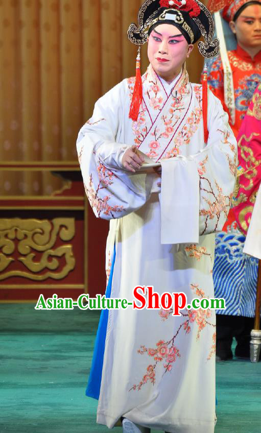 Chinese Beijing Opera Niche Costumes Garment Peking Opera Young Men Return of the Phoenix Apparels Xiaosheng Embroidered Robe and Hat