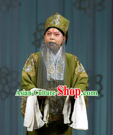 Chinese Beijing Opera Elderly Male Costumes Garment Peking Opera Return of the Phoenix Apparels Landlord Green Robe and Hat