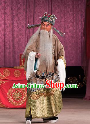 Chinese Beijing Opera Elderly Men Garment Peking Opera Judge Bao and the Qin Xianglian Case Apparels Chancellor Han Qi Costumes and Headwear