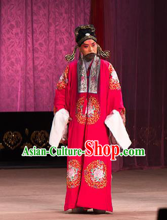 Chinese Beijing Opera Garment Peking Opera Judge Bao and the Qin Xianglian Case Apparels Elderly Male Gongsun Ce Red Costumes and Headwear