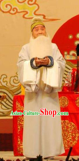 Chinese Peking Opera Lao Sheng Apparels Costumes Four Scholars Elderly Male Garment and Headwear