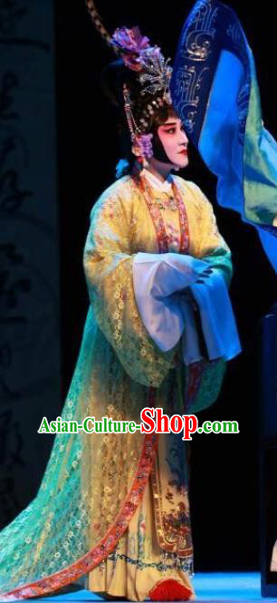 Traditional Chinese Peking Opera Empress Apparels Garment The Revenge of Prince Zi Dan Hua Tan Queen Dress Costumes and Headdress