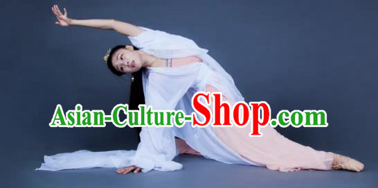 Chinese Traditional Dance Unsillied White Dress Classical Dance Stage Performance Costume for Women