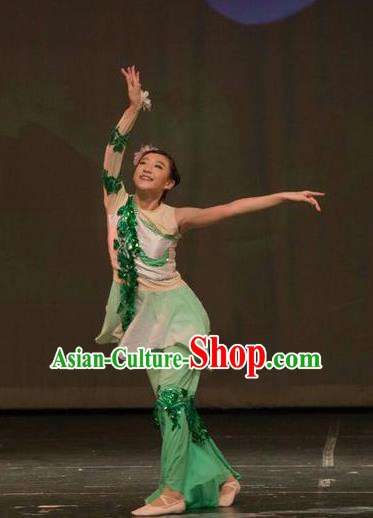 Chinese Traditional Folk Dance Liu Yue Mo Li Green Dress Classical Dance Stage Performance Costume for Women