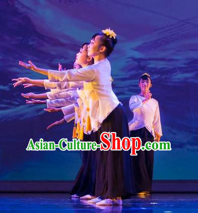 Chinese Traditional Folk Dance Liu Yue Mo Li Outfits Classical Dance Stage Performance Costume for Women