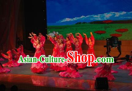 Chinese Morning Roses Classical Dance Rosy Dress Traditional Dance Stage Performance Costume for Women