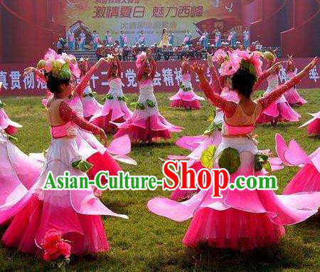 Chinese Lotus Dance Pink Dress Traditional Classical Dance Stage Performance Costume for Women