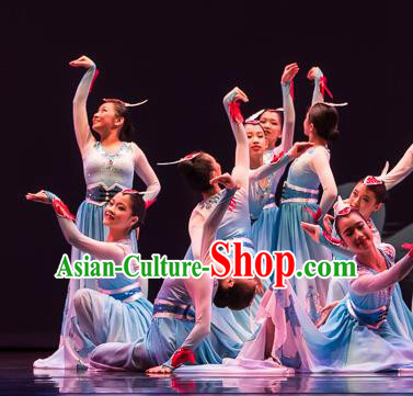 Chinese Swan Folk Dance Blue Dress Traditional Classical Dance Stage Performance Costume for Women