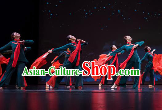 Chinese Ying Shan Hong Dance Green Outfits Traditional Folk Dance Stage Performance Costume for Women
