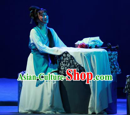 Chinese Shaoxing Opera Civilian Female Costumes and Headpieces Li Hua Qing Yue Opera Hua Tan Apparels Dress Garment