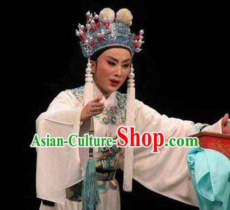 Palm Civet for Prince Chinese Yue Opera Court Eunuch Chen Lin Costumes and Headwear Shaoxing Opera Man Role Garment Apparels Official Robe